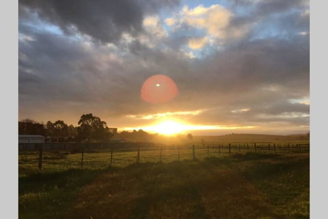 Lucys Artist Cottage - Accommodation Brunswick Heads 3