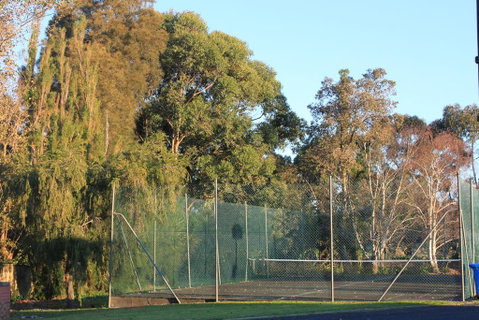 Mt Gambier International - Accommodation Brunswick Heads 2