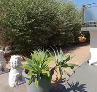 Mt.Lawley superb 2 BR Apartment Ideally located 5 - Accommodation Brunswick Heads