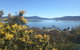 Naturescape - thumb 3