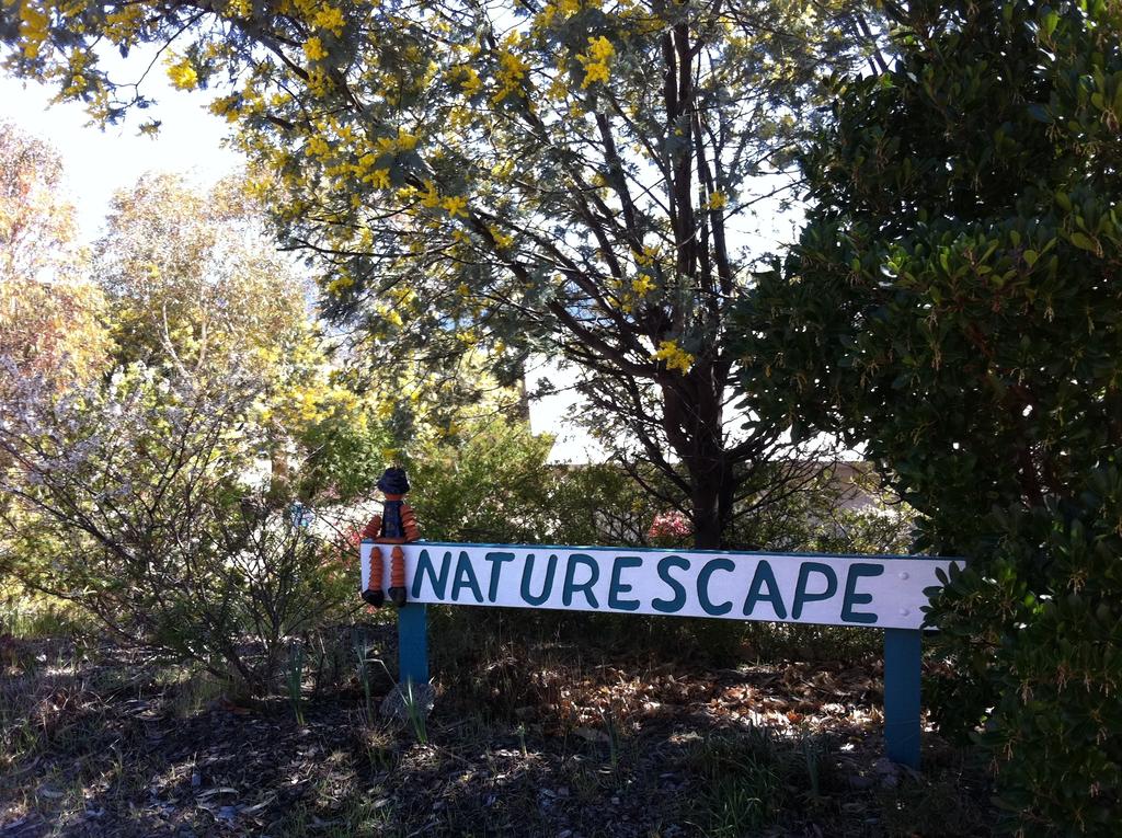 Kosciuszko NSW Accommodation Brunswick Heads
