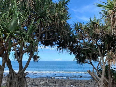 Nautilus Beachside Apartments - Accommodation Brunswick Heads 3