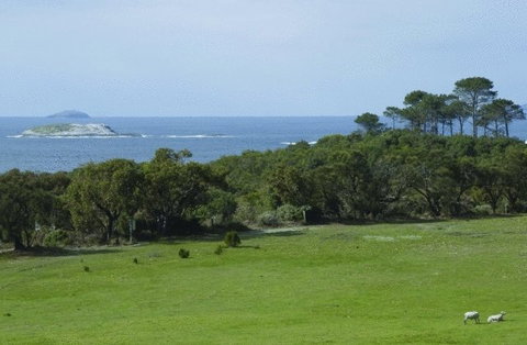 Cosy Corner Sea View Apartments - Accommodation Brunswick Heads 7