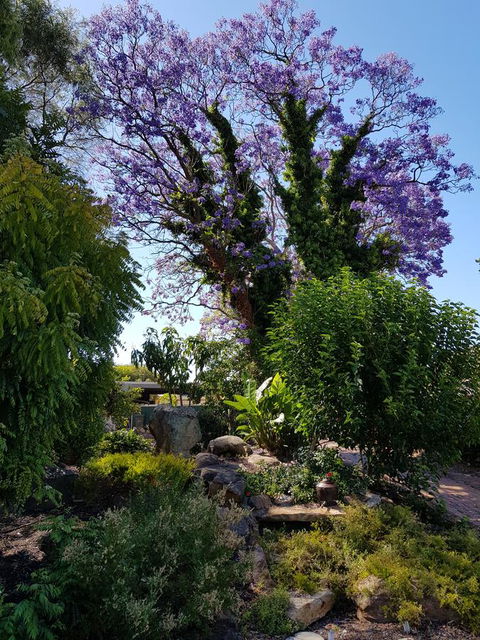 Jacaranda Hideaway Bed & Breakfast - Accommodation Brunswick Heads 10