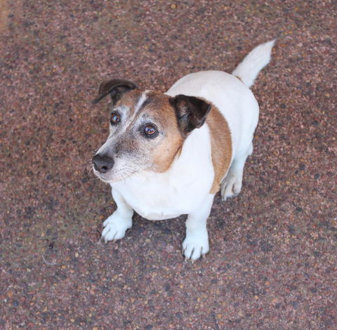 Jacaranda Hideaway Bed & Breakfast - Accommodation Brunswick Heads 13