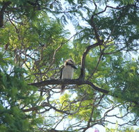 Jacaranda Hideaway Bed  Breakfast - Accommodation Brunswick Heads