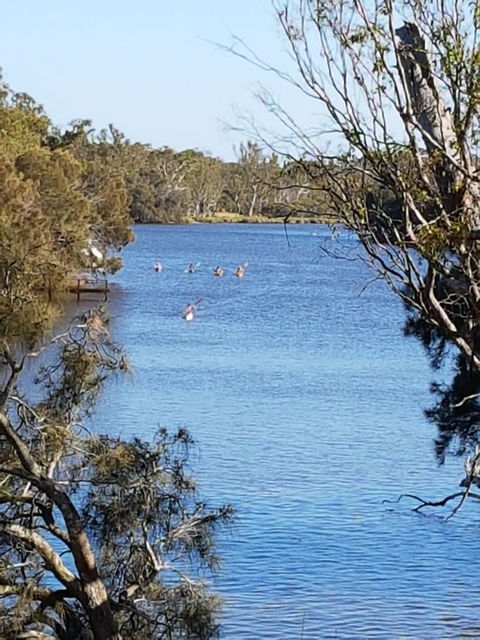 Jacaranda Hideaway Bed & Breakfast - Accommodation Brunswick Heads 19