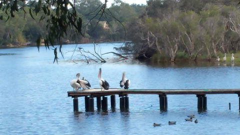 Jacaranda Hideaway Bed & Breakfast - Accommodation Brunswick Heads 18