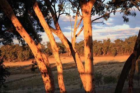 Hotham Ridge Estate - Accommodation Brunswick Heads 30