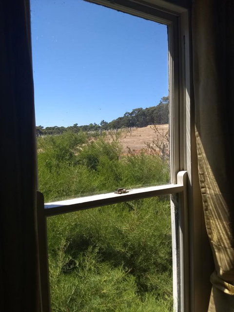 Hotham Ridge Estate - Accommodation Brunswick Heads 8