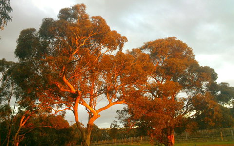 Hotham Ridge Estate - Accommodation Brunswick Heads 35