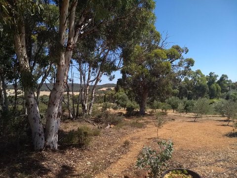 Hotham Ridge Estate - Accommodation Brunswick Heads 13