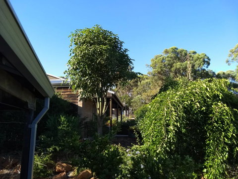 Hotham Ridge Estate - Accommodation Brunswick Heads 5