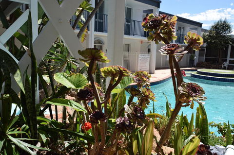 Seashore Memories - Sleeps 3 - Accommodation Brunswick Heads 14