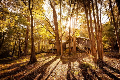 Riverglen Chalets - Accommodation Brunswick Heads 0
