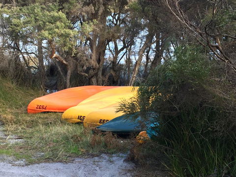 Riverside Retreat Chalets, Walpole - Accommodation Brunswick Heads 20
