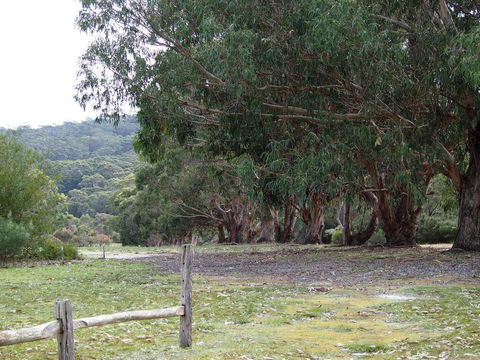 Riverside Retreat Chalets, Walpole - Accommodation Brunswick Heads 17