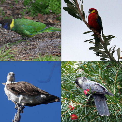 Riverside Retreat Chalets, Walpole - Accommodation Brunswick Heads 24