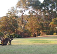 Riverside Retreat Chalets Walpole - Accommodation Brunswick Heads
