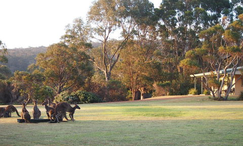 Riverside Retreat Chalets, Walpole - Accommodation Brunswick Heads 0