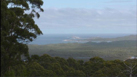 Riverside Retreat Chalets, Walpole - Accommodation Brunswick Heads 30