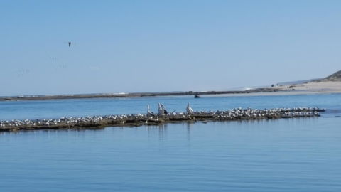Kalbarri Seaview Villas - Accommodation Brunswick Heads 33