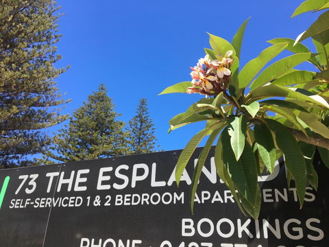 Esperance Central Accommodation - Accommodation Brunswick Heads 2
