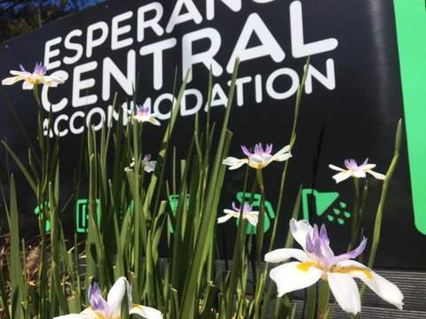 Esperance Central Accommodation - Accommodation Brunswick Heads 0