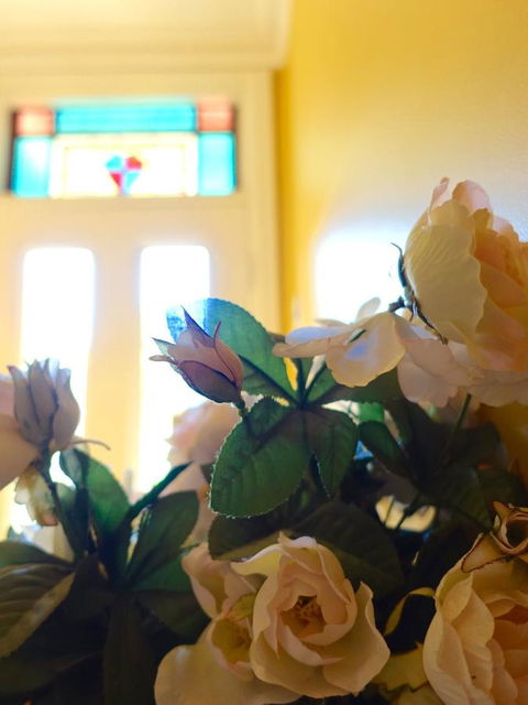 The Blacksmiths Cottage - Accommodation Brunswick Heads 16