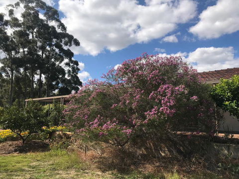 Cockburn Retreat Home æŸæ–¯æ‚ é–’æ°‘å®¿ - Accommodation Brunswick Heads 0