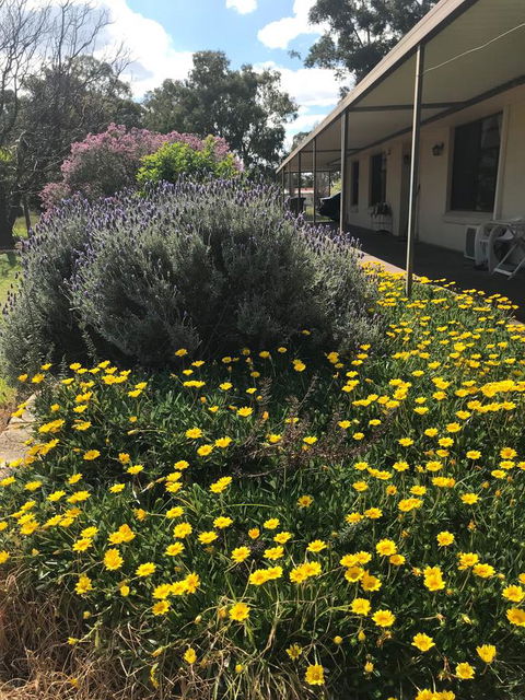 Cockburn Retreat Home æŸæ–¯æ‚ é–’æ°‘å®¿ - Accommodation Brunswick Heads 3