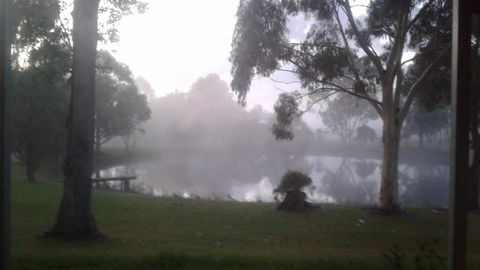 Abbivale Farm Cottage - Accommodation Brunswick Heads 18