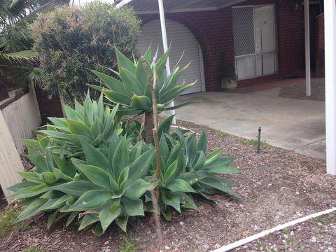 â˜… Stylish Family Home! â˜… - Accommodation Brunswick Heads 2