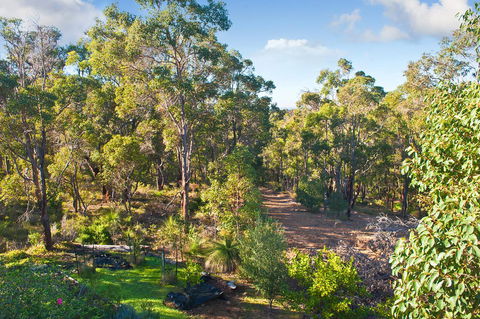 A Hidden Bush Delight - Accommodation Brunswick Heads 30