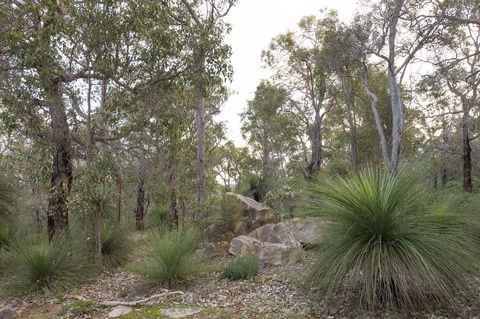 A Hidden Bush Delight - Accommodation Brunswick Heads 23