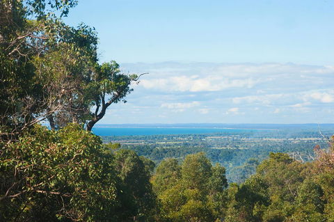 A Hidden Bush Delight - Accommodation Brunswick Heads 31