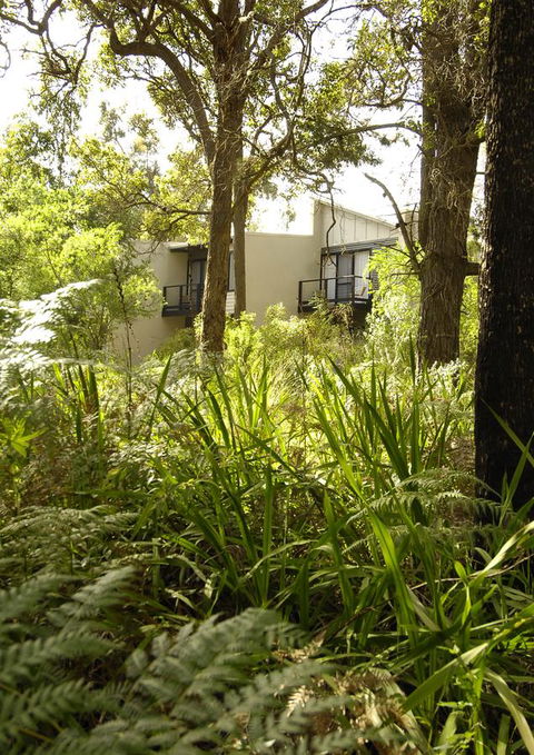Margarets Forest - Accommodation Brunswick Heads 41