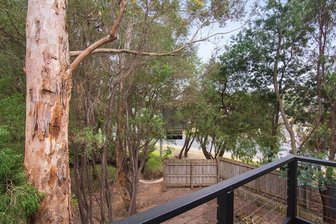 Margarets Forest - Accommodation Brunswick Heads 12