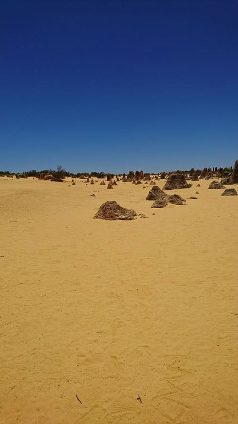 The Bothy Lancelin Family Retreat - Accommodation Brunswick Heads 35