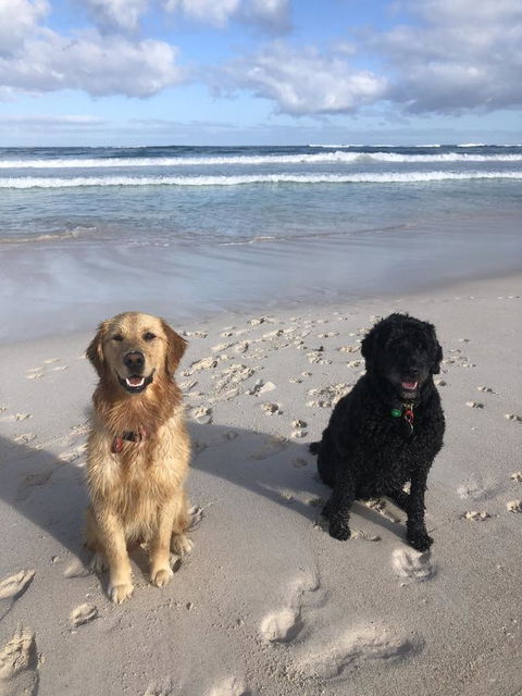 The Bothy Lancelin Family Retreat - Accommodation Brunswick Heads 32