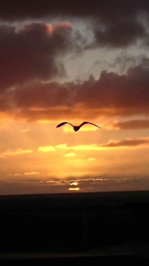 The Bothy Lancelin Family Retreat - Accommodation Brunswick Heads 28