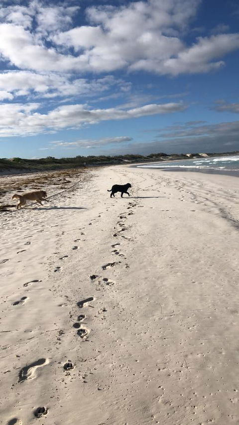 The Bothy Lancelin Family Retreat - Accommodation Brunswick Heads 30