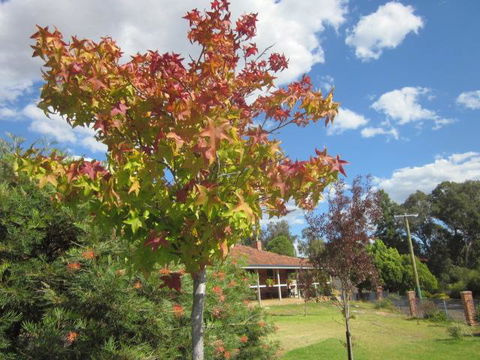 Bridgetown Valley Lodge - Accommodation Brunswick Heads 40