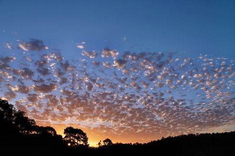Bridgetown Valley Lodge - Accommodation Brunswick Heads 6