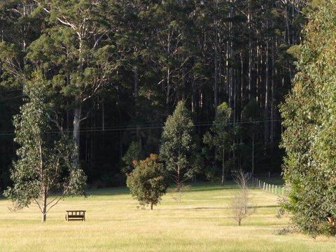 Big Brook Retreat - Accommodation Brunswick Heads 5