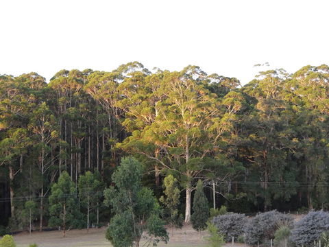 Big Brook Retreat - Accommodation Brunswick Heads 11