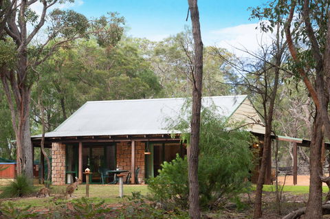 Yelverton Brook Conservation Sanctuary - Accommodation Brunswick Heads 31