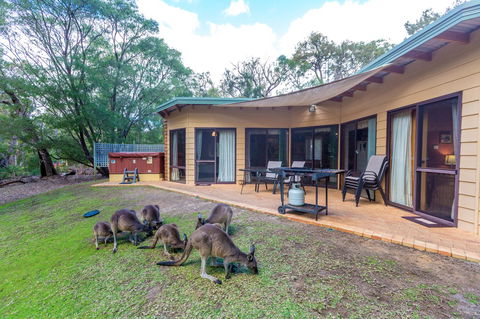 Yelverton Brook Conservation Sanctuary - Accommodation Brunswick Heads 18
