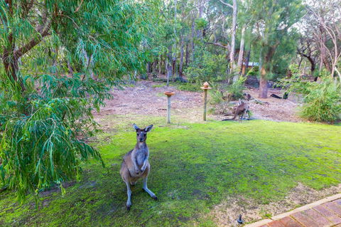Yelverton Brook Conservation Sanctuary - Accommodation Brunswick Heads 11