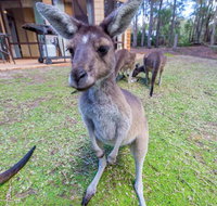 Yelverton Brook Eco Spa Retreat  Conservation Sanctuary - Accommodation Brunswick Heads